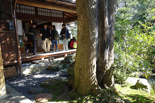 武家屋敷跡野村家の写真