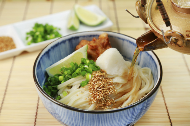 うどんの器におすすめ おしゃれなどんぶり 鉢の人気通販サイト集 麺椀